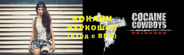 МДПВ Гусев