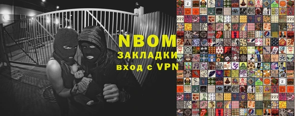 шишки Сосновый Бор