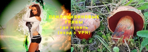 МДПВ Гусев