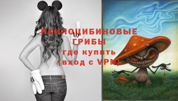 МДПВ Гусев
