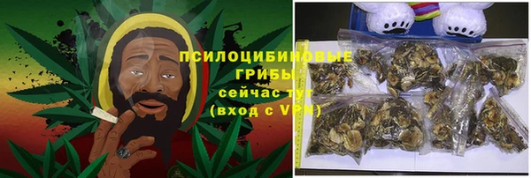 МДПВ Гусев