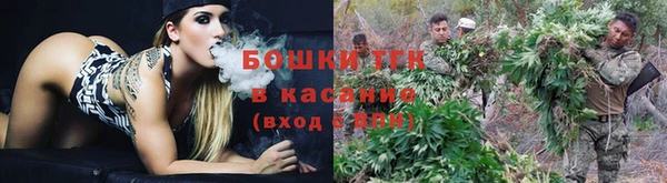 мдма Гусиноозёрск