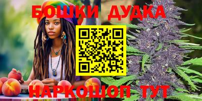 стаф Будённовск