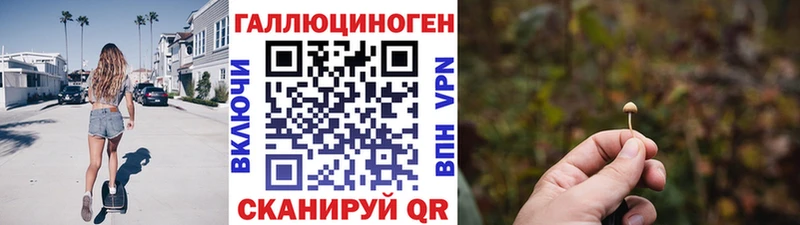 Галлюциногенные грибы Psilocybe  Верхняя Салда 