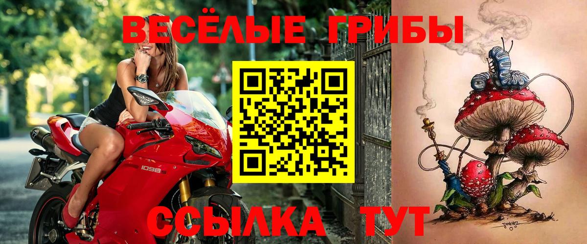 Псилоцибиновые грибы прущие грибы Верхняя Салда