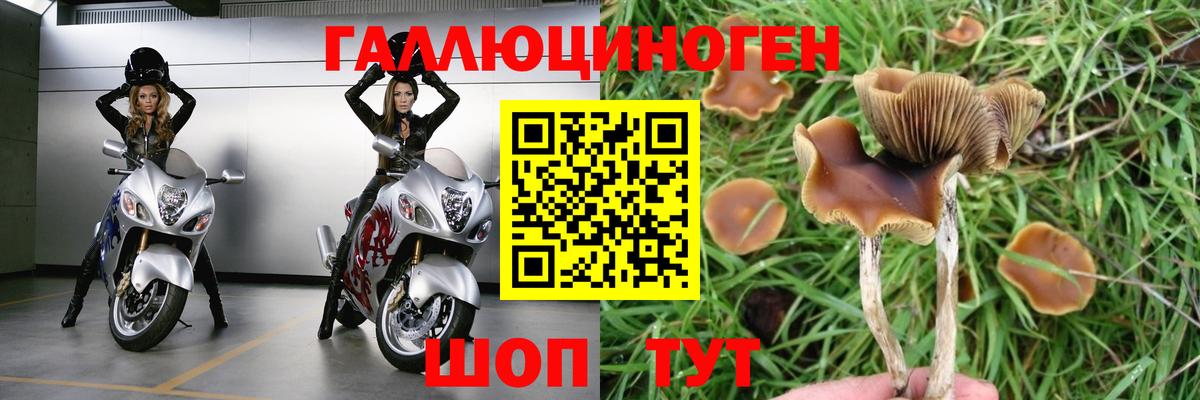 Галлюциногенные грибы GOLDEN TEACHER  Вход с VPN  Верхняя Салда 