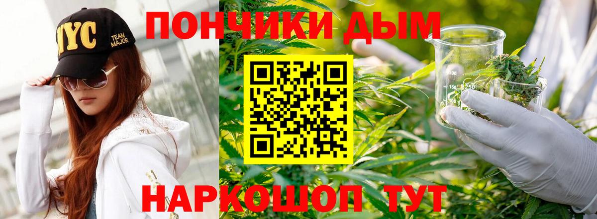 Бошки Шишки ГИДРОПОН  Вход с VPN  Каннабис планчик  Верхняя Салда  Бошки Шишки White Widow 